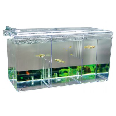 Colle silicone transparente pour aquarium - Hobby