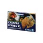 Feuilles de Badamier pour Aquarium 'Catappa Leaves XL' | Hobby - Boîte