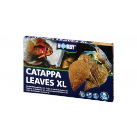 Feuilles de Badamier pour Aquarium 'Catappa Leaves XL' | Hobby - Boîte