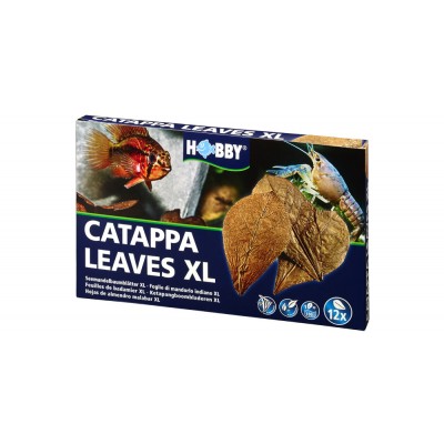 Feuilles de Badamier pour Aquarium 'Catappa Leaves XL' | Hobby - Boîte