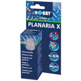 Piège à Planaire pour Aquarium 'Planaria X' | Hobby - Boîte