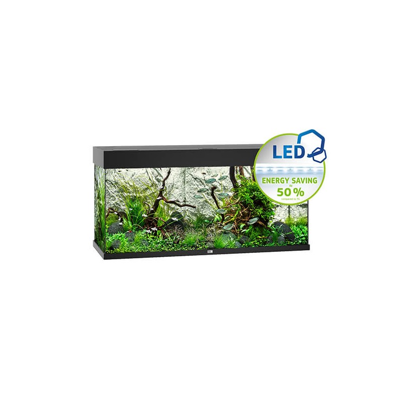 Graines d'herbe haute pour aquarium - Décorations Aquarium