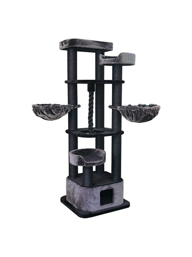 Arbre A Chat Pitibulle