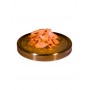 Moonlight Alimentation naturelle thon & crevettes Moonlight 964318