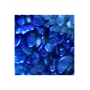 Nirox Gravier métallique Nirox Bleu 5 mm CS-1065SS