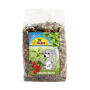 JR Farm Mélange Spécial Chinchilla JR Farm 500 g 502256