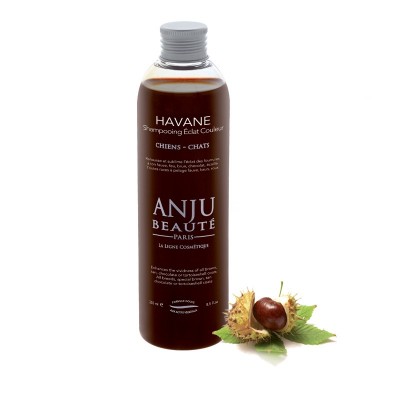 Anju Beauté Shampooing Éclat Couleur Havane Anju Beauté 250 ml AN210