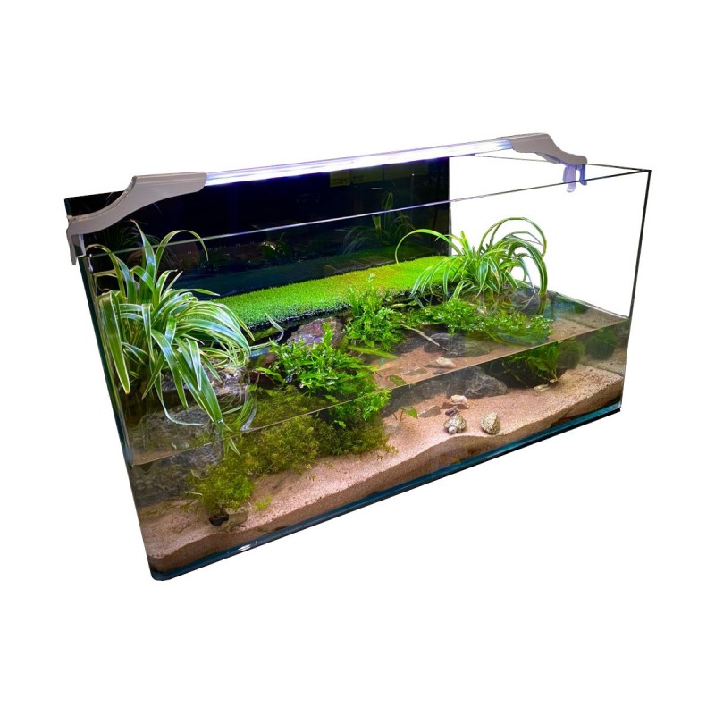 Décoration large pour aquarium ou terrarium— animauxbouffe