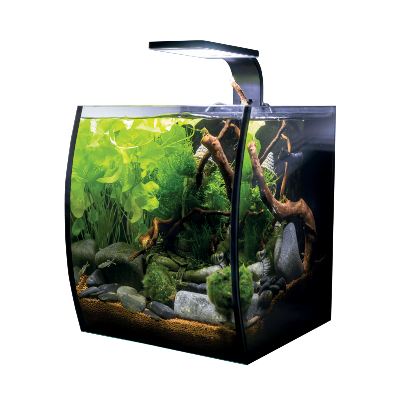 Aquarium portable vivant et sûr fausse plante fausse plante aquatique pour  cache-poissons