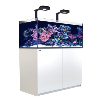 Red Sea REEFER Deluxe 425 XL (2 x ReefLED 90) Red Sea R42243A-RL