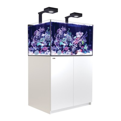 Red Sea REEFER Deluxe 300 XL (2 x ReefLED 90) Red Sea R42473-RL
