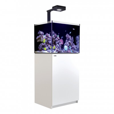 Red Sea REEFER Deluxe 170 (1 x ReefLED 90) Red Sea R42113-RL