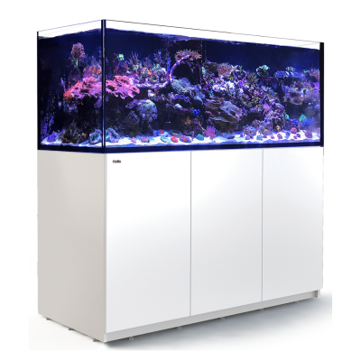 Red Sea REEFER 625 XXL Red Sea R42261A