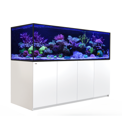 Red Sea REEFER S 1000 Red Sea R43400