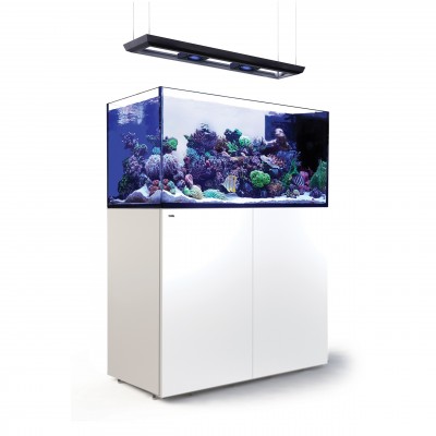 Red Sea REEFER Peninsula Deluxe 500 (2 x ReefLED 160S) Red Sea R42374A-RL