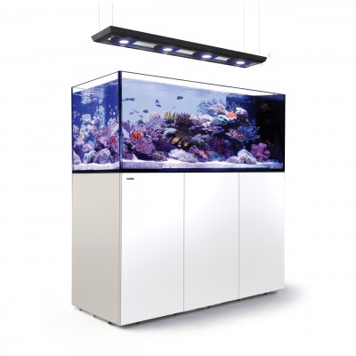 Red Sea REEFER Peninsula Deluxe 650 (4 x ReefLED 90) Red Sea R42363-RL