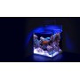 Aquarium Equipé Max Nano Cube