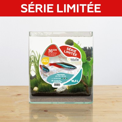 Kit Eco Aquarium Icube 18,5 L