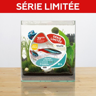 Kit Eco Aquarium Icube 31 L