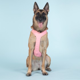 Harnais de Visibilité Nocturne pour Chien - PAIKKA