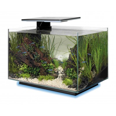 Aquarium Superfish Quadro 40