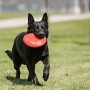 Frisbee en Caoutchouc pour Chien - KONG