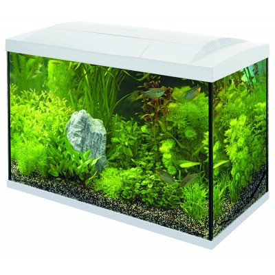 Aquarium Superfish Start 70 Tropical Kit