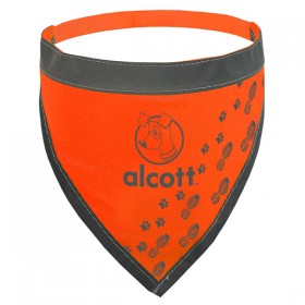 Bandana Néon de Visibilité Nocturne pour Chien