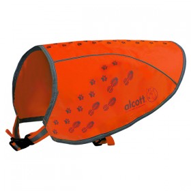 Gilet de Visibilité Nocturne pour Chien