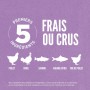 Croquettes Volailles & Poissons pour Chaton Sans Céréales - Orijen Kitten