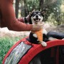 Remorque de Vélo pour Chien nobby