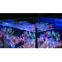 Aquarium Max Nano XL G2 Red Sea