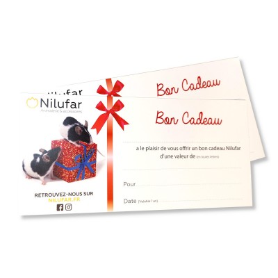 Bon Cadeau Magasin | Nilufar