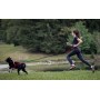 Baudrier de Traction pour Chien 'Ludus Performance' | Kyflie - Illustration