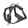 Harnais de Promenade pour Chien 'Momentum M' | Kyflie - Couleur Noir