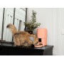 Distributeur de Croquettes Intelligent pour Chat | Bandit - Situation 1