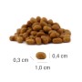 Croquette Chat 'MeatCrisp Kitten Fish' | Platinum - Calibre