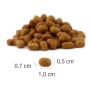 Croquette Chat 'MeatCrisp Adult Fish' | Platinum - Calibre