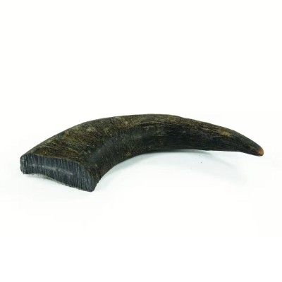 Friandise Chien 'Pointe de Corne de Buffle' | Perro - Produit
