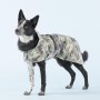 Veste Chien 'Imperméable Visibilité & Récupération' Camo | PAIKKA - Border Collie
