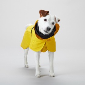 Veste Chien 'Imperméable Léger Visibilité' Jaune | PAIKKA - Jack Russel Terrier
