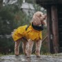 Veste Chien 'Imperméable Léger Visibilité' Jaune | PAIKKA - Sortie en forêt