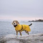 Veste Chien 'Imperméable Léger Visibilité' Jaune | PAIKKA - Sortie à la mer