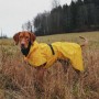 Veste Chien 'Imperméable Léger Visibilité' Jaune | PAIKKA - Sortie en campagne