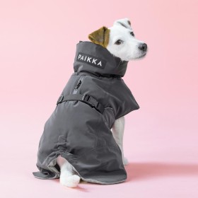 Veste Chien 'Imperméable Visibilité' Noir | PAIKKA - Jack Russel Terrier
