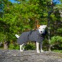 Veste Chien 'Imperméable Visibilité' Noir | PAIKKA - Sorties à la montagne