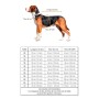 Veste Chien 'Imperméable Visibilité' Noir | PAIKKA - Guide des tailles