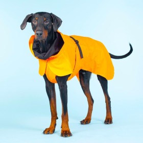 Veste Chien 'Imperméable Visibilité & Récupération' Orange | PAIKKA - Grand chien