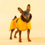 Veste Chien 'Imperméable Visibilité & Récupération' Orange | PAIKKA - Petit chien