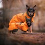 Veste Chien 'Imperméable Visibilité & Récupération' Orange | PAIKKA - Sorties en forêt